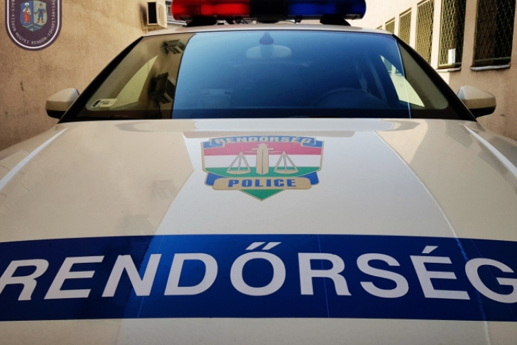 Hoteltulajdonos és taxis segítette a madamot