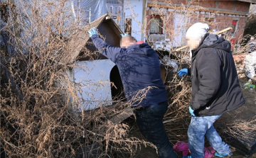 Kannabisztermesztőt fogtak el a rendőrök Bagon