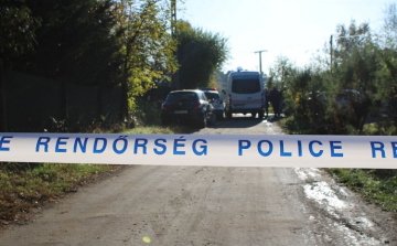 Megölte várandós feleségét